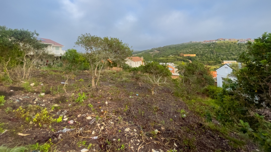 0 Bedroom Property for Sale in Bergsig Western Cape